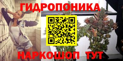 mix Кинель