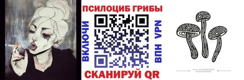 где найти   OMG маркетплейс  Псилоцибиновые грибы Magic Shrooms  Наро-Фоминск 