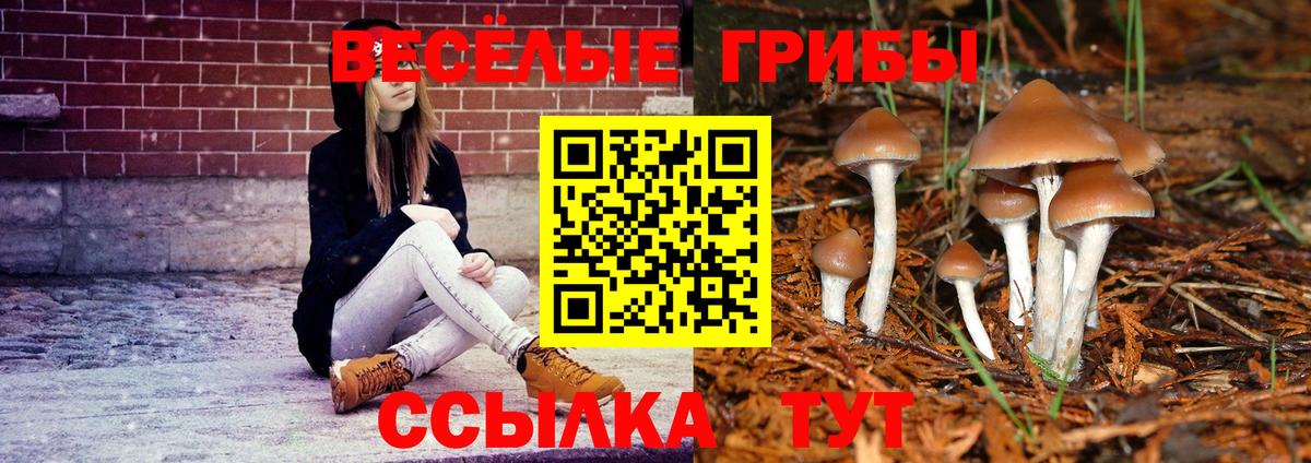 Галлюциногенные грибы Cubensis  Вход с VPN  Псилоцибиновые грибы мицелий  Наро-Фоминск 